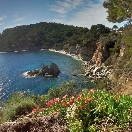 Apartment Proche Port Et Plages, Piscine *