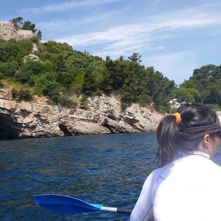 Apartment Proche Port Et Plages, Piscine Hyeres